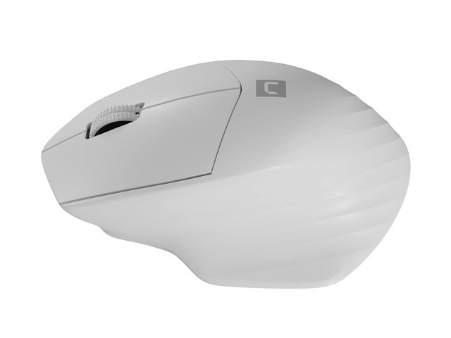Souris sans fil Siskin 2 1600 DPI Bluetooth 5.0 + 2,4GHz – Blanc