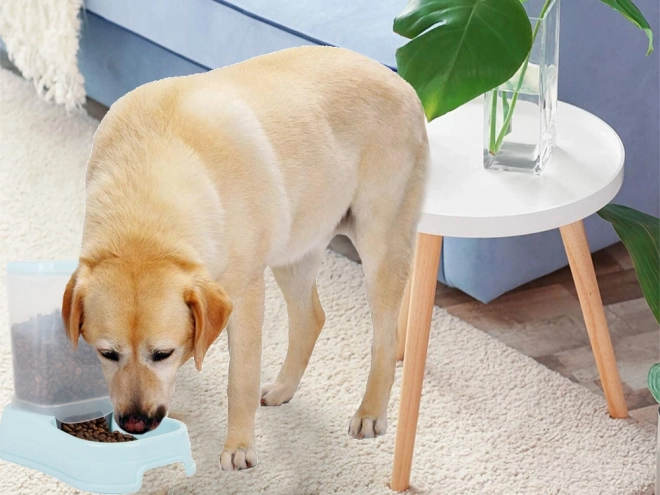 Automatische voerdispenser voor honden en katten