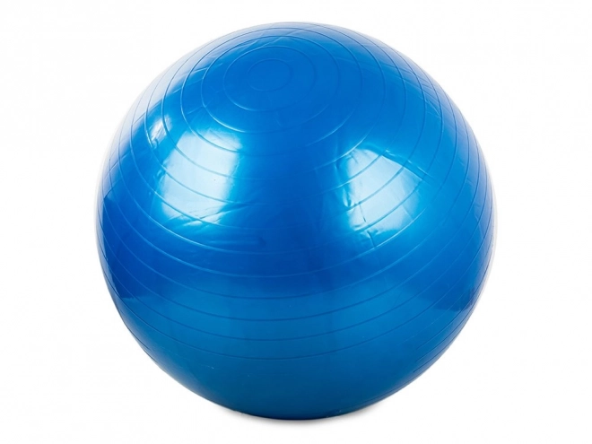 Gymnastiekbal Fitness 65 cm met pomp