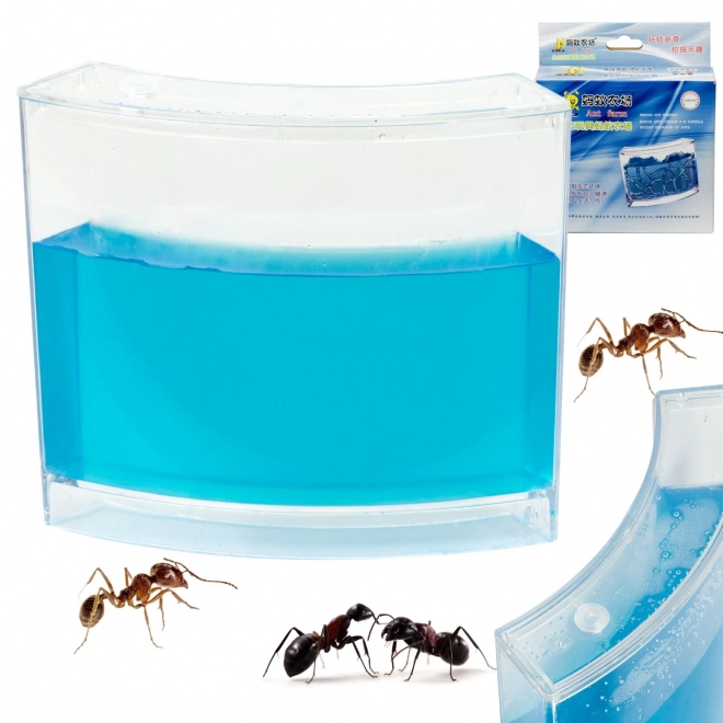 Aquarium éducatif en gel pour fourmis