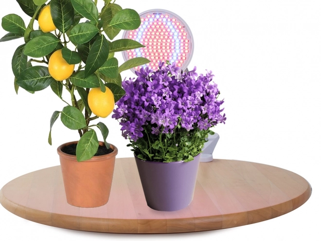 LED lamp voor planten 20W