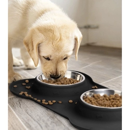 Dual Pet Bowls with Silicone Stand