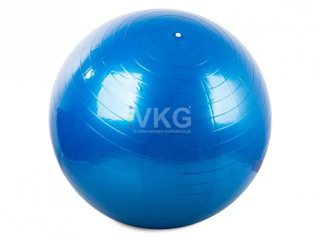 Gymnastiekbal Fitness 65 cm met pomp