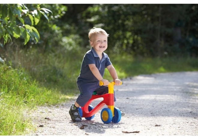 Lena Rolcyclus / loopfiets - kleurrijk