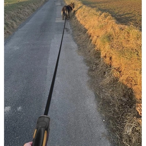 Automatische Hundeleine 8m Für Große Hunde