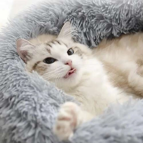 Fluffy Pet Bed Gray