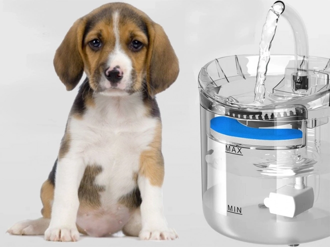 Abreuvoir automatique pour chats et chiens