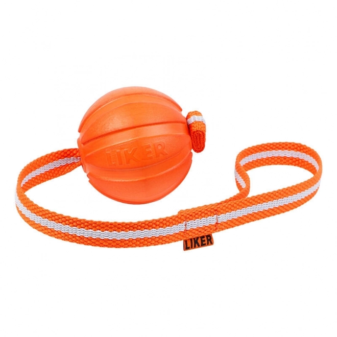 Bal aan touw voor puppy's en kleine honden Liker Line 7 Waudog