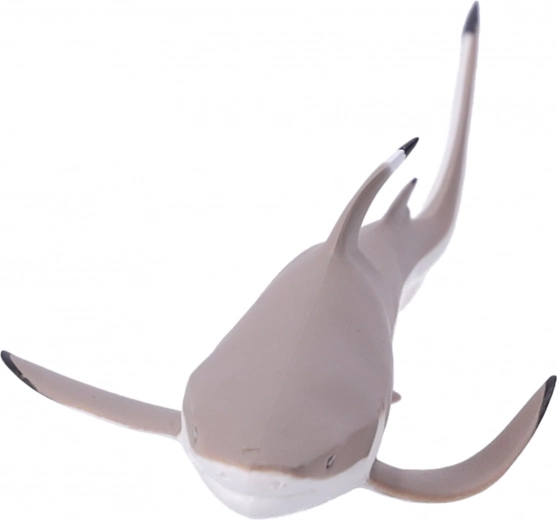 Ideal zum Spielen und Lernen