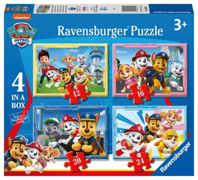 Paw Patrol 4 in 1