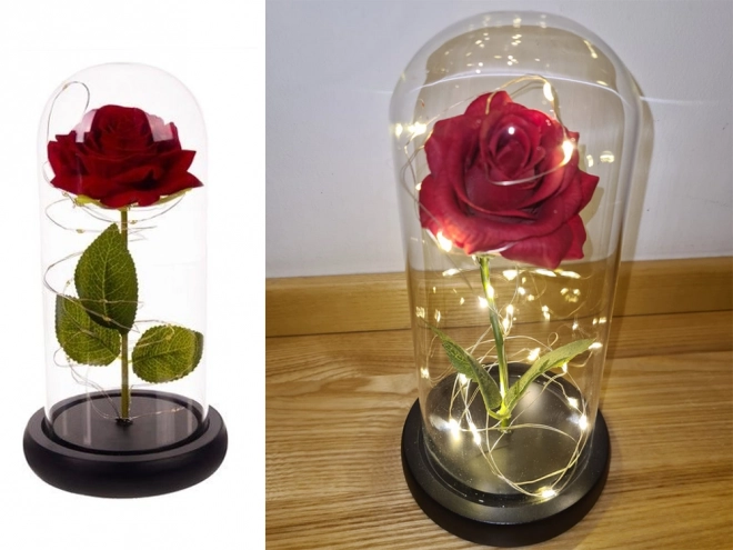 Ewige rote Rose im Glas mit LED-Licht als Geschenk für Frauen