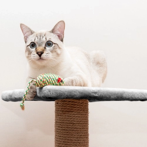 Krabpaal voor katten Purlov 71cm, grijs
