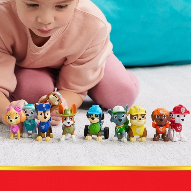 Paw Patrol Verjaardag multi-pack figuren