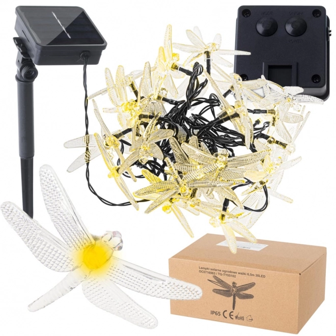 Solar Garden Lights with Dragonfly Design