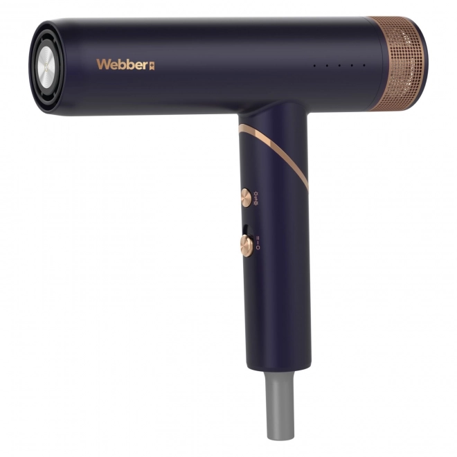 Föhn voor haar 2in1 met ionisatie en regeling STELLA WEBBER