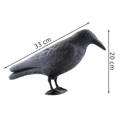 Vogelverschrikker - raaf