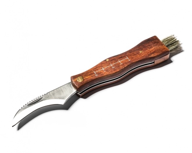 Mushroom Collecting Pocket Knife