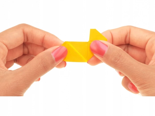 Creatieve Origami 3D Pauw van Alexander