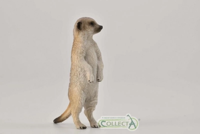 Collecta Erdmännchen stehende Figur