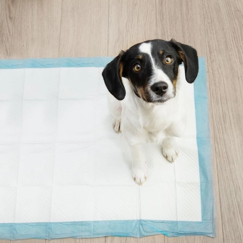 Absorbierende Einweg-Hygienematte für Tiere mit Hundekotbeuteln