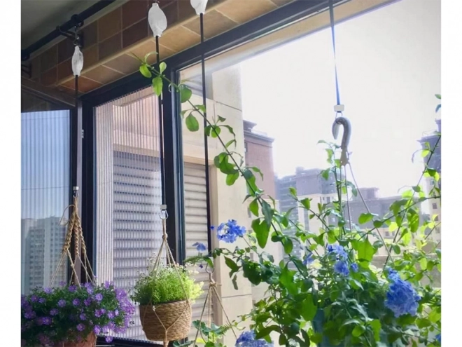 Adjustable Plant Hook with Extendable Handle