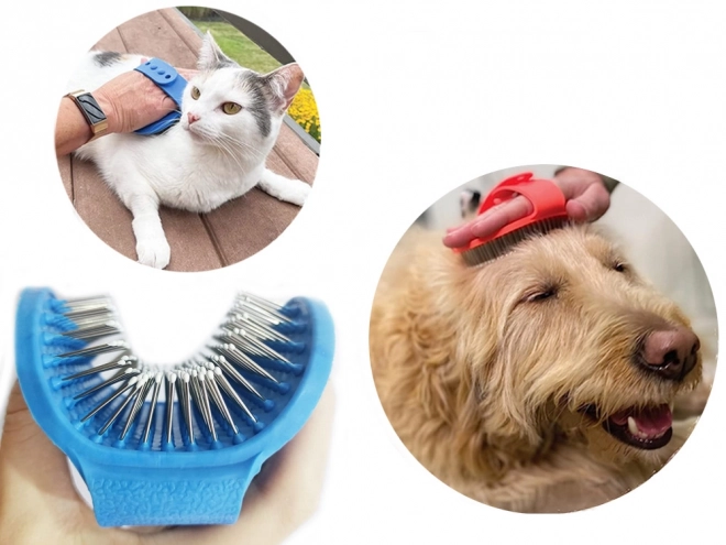Borsteltje voor huisdierenvacht