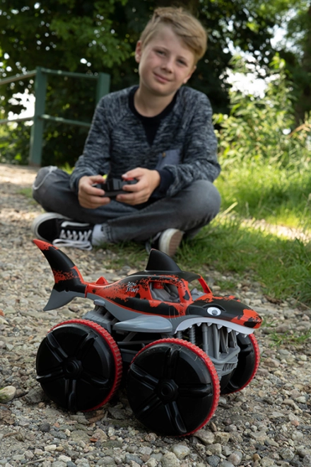 Aantrekkelijk haai ontwerp