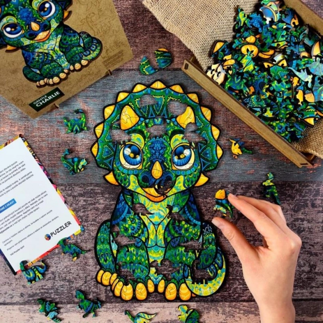 Magische houten kleurrijke puzzel - Lieve Charlie