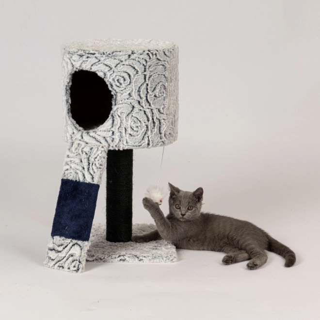 Krabpaal voor katten met speeltjes