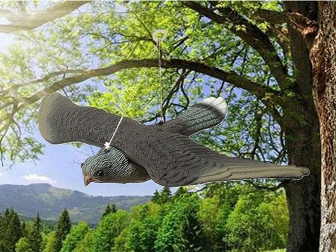 Vogelscheuche Falke