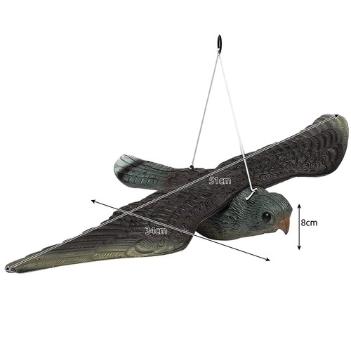 Bird Repellent Falcon
