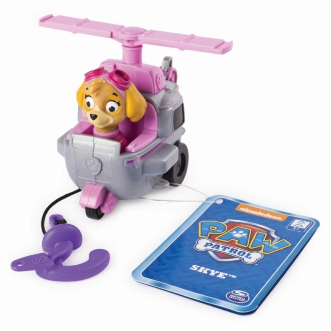 Paw Patrol small vehicle with figure various types