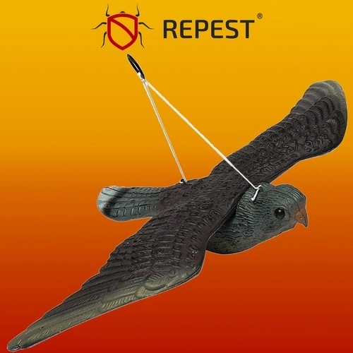 Bird Repellent Falcon