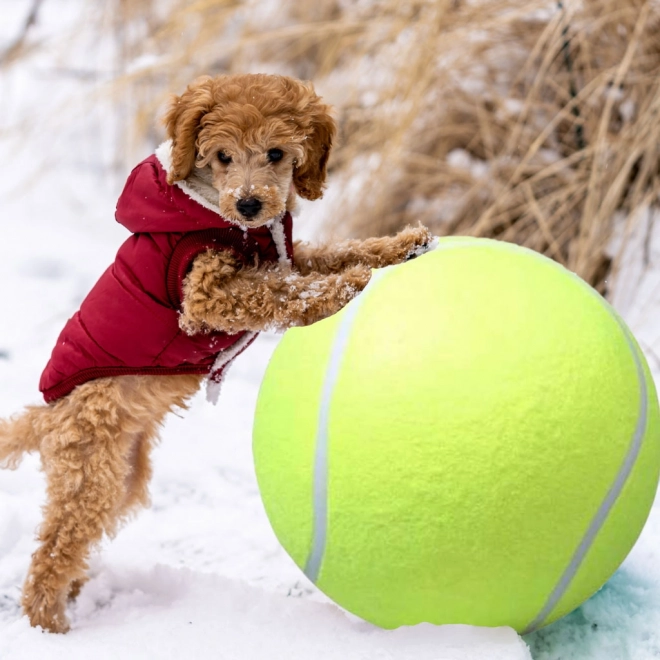 Grote tennisbal voor honden