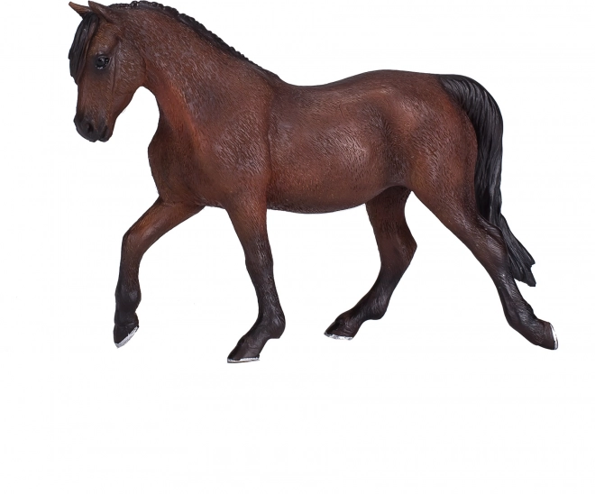Morgan Palomino Paard