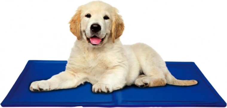 Kompakt und reisefreundlich