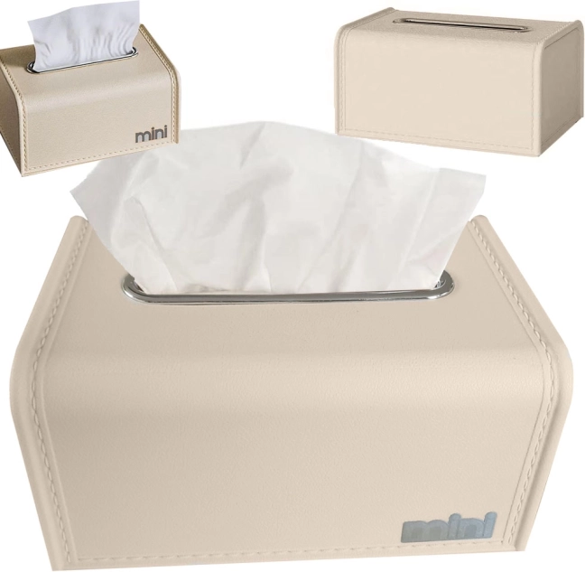 Tissue Box with Metal Spring