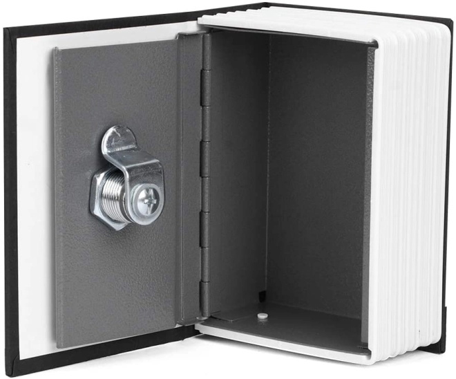 Sturdy steel cash box with lock