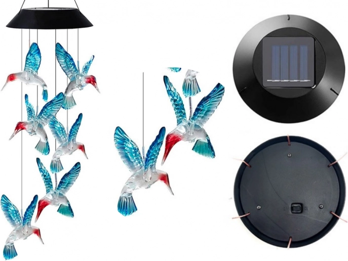 Zonnekolibrie LED licht in kleuren