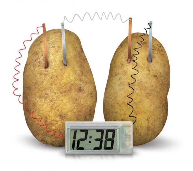 Aardappelklok 4M