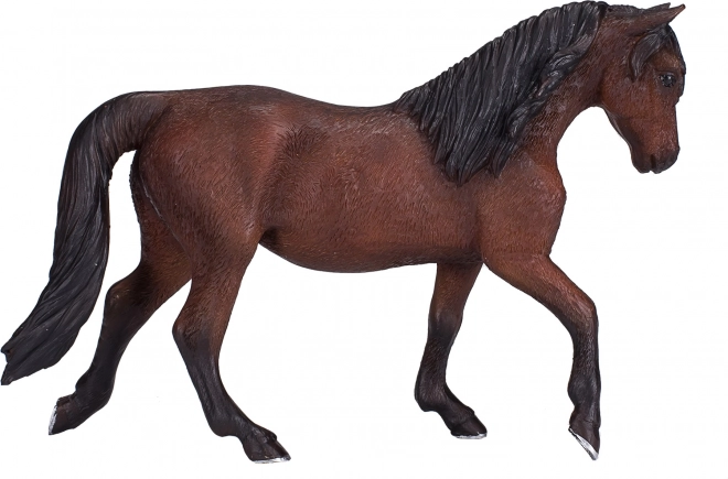 Morgan Palomino Paard