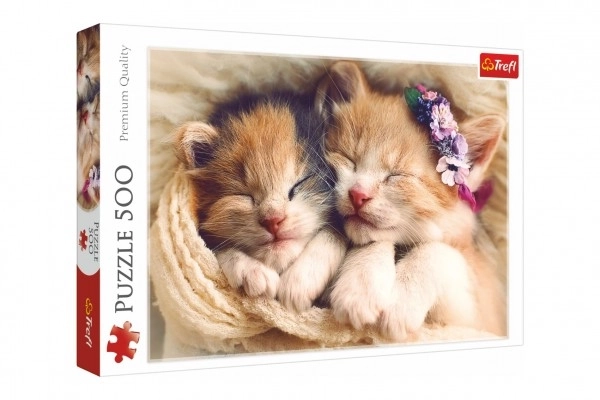 Puzzel 500 stukjes slapende kittens Trefl