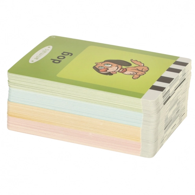 Educational Toy English Vocabulary Card Reader