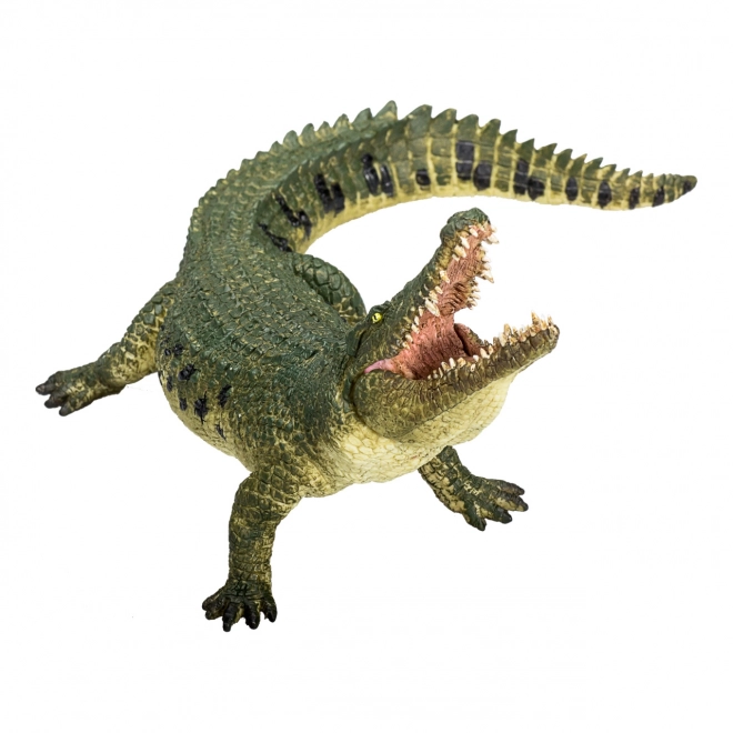 Realistische Krokodil met Beweegbare Kaak