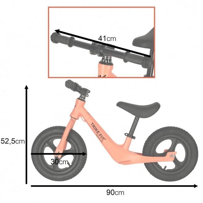 Loopfiets Trike Fix Active X2
