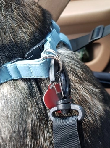 Purlov transportbox voor dieren in de auto