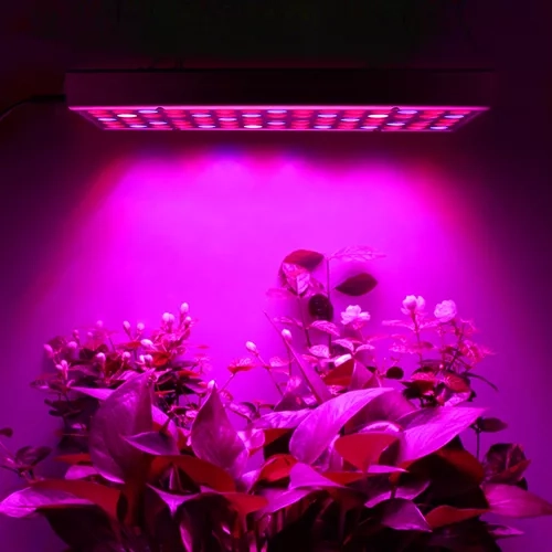 Lamp/Paneel 225 LED voor planten groei. 23525