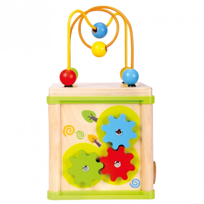 Bino Cube Motorique 5 en 1