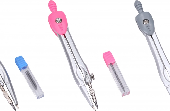 Compass with Spare Leads