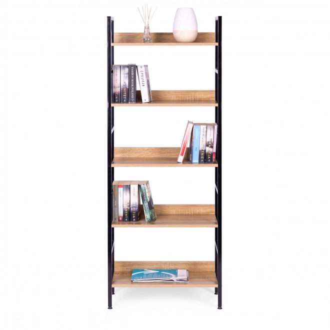 Moderne Bibliothek mit 5 Regalen